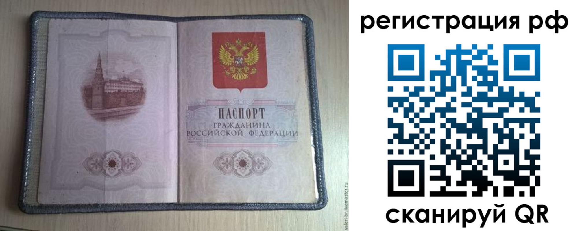 прописка поиск в Чудово